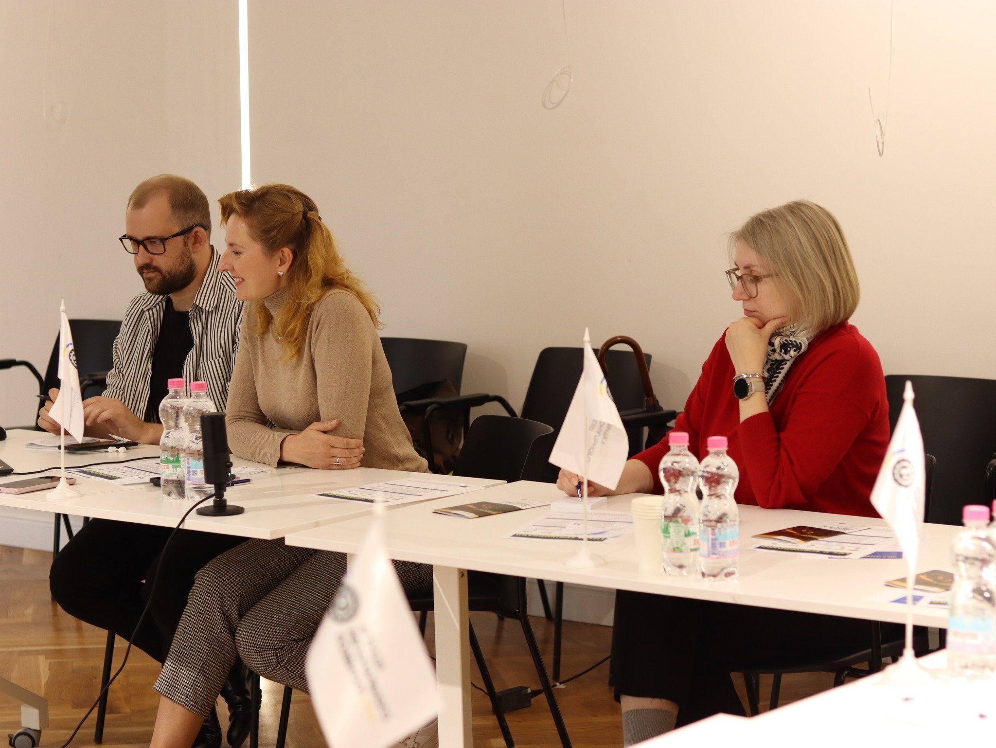 LIFE-U-SPRINGBOARD: друга зустріч робочої групи