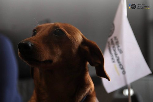 photo_2026-01-22_15-35-18